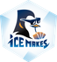 Ice Makes Limited logo
