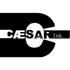 Cæsar Ink logo